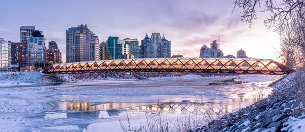 View Calgary Downtown Skyline Bow River Peace Bridge Visible Image — стоковое фото