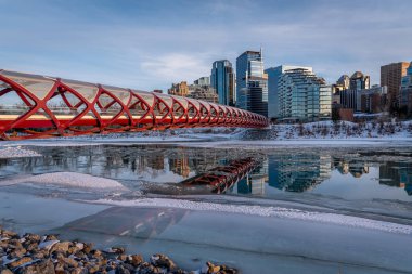 Calgary 'nin şehir merkezindeki Bow River ufuk çizgisine bakın. Barış köprüsü görüntüde görünüyor.. 