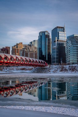 Calgary 'nin şehir merkezindeki Bow River ufuk çizgisine bakın. Barış köprüsü görüntüde görünüyor.. 