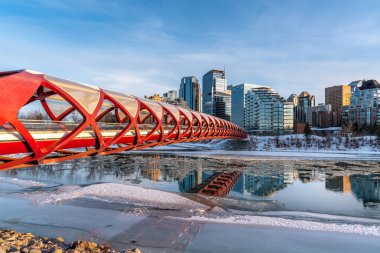 Calgary 'nin şehir merkezindeki Bow River ufuk çizgisine bakın. Barış köprüsü görüntüde görünüyor.. 