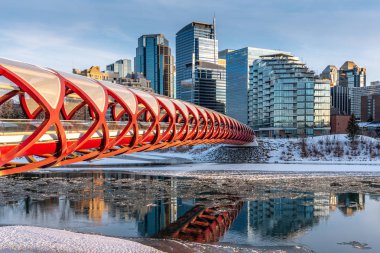 Calgary 'nin şehir merkezindeki Bow River ufuk çizgisine bakın. Barış köprüsü görüntüde görünüyor.. 