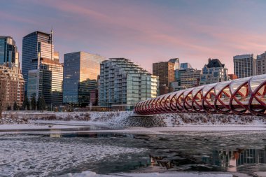 Calgary 'nin şehir merkezindeki Bow River ufuk çizgisine bakın. Barış köprüsü görüntüde görünüyor.. 