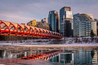 Calgary 'nin şehir merkezindeki Bow River ufuk çizgisine bakın. Barış köprüsü görüntüde görünüyor.. 