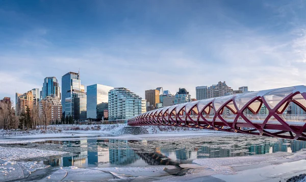 View Calgary Downtown Skyline Bow River Peace Bridge Visible Image — Stock Photo, Image