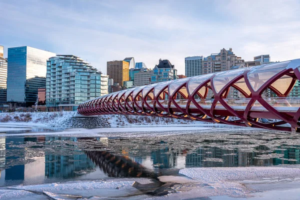 View Calgary Downtown Skyline Bow River Peace Bridge Visible Image — Stock Photo, Image