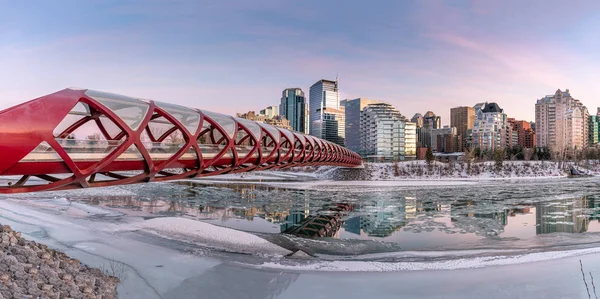 Widok Panoramę Śródmieścia Calgary Bow River Mostem Spokoju Widocznym Zdjęciu — Zdjęcie stockowe