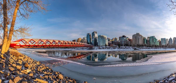 Pohled Panorama Centra Calgary Řece Bow Mírovým Mostem Viditelným Obrázku — Stock fotografie