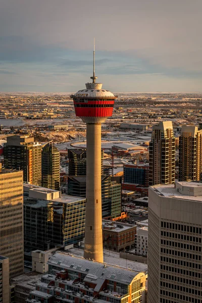 Widok Wieżę Calgary Zachodzie Słońca Chłodny Zimowy Wieczór — Zdjęcie stockowe