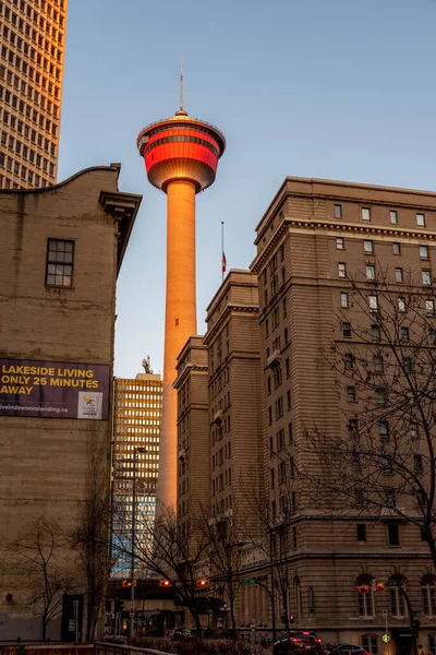 Calgary Alberta April 2020 Utsikt Över Calgary Tower Calgary Tower — Stockfoto