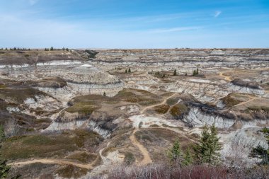 İlkbaharın sonlarında popüler At nalı Kanyonu, yazın Kanada Çorak Toprakları, Drumheller, Alberta, Kanada