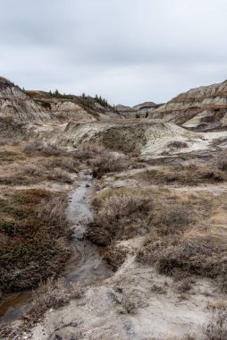 İlkbaharın sonlarında popüler At nalı Kanyonu, yazın Kanada Çorak Toprakları, Drumheller, Alberta, Kanada