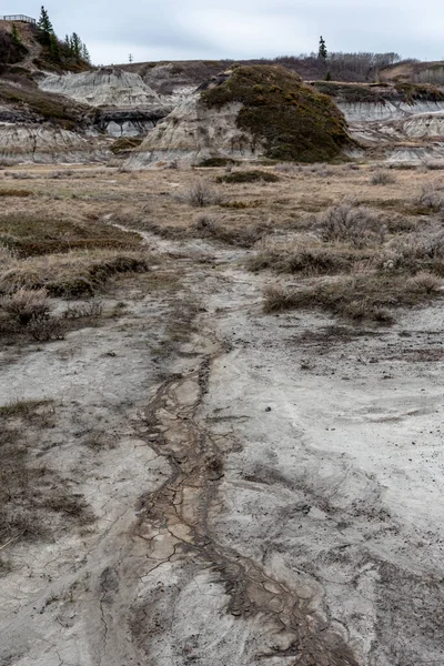 Άποψη Του Δημοφιλούς Horseshoe Canyon Στα Τέλη Της Άνοιξης Canadian — Φωτογραφία Αρχείου