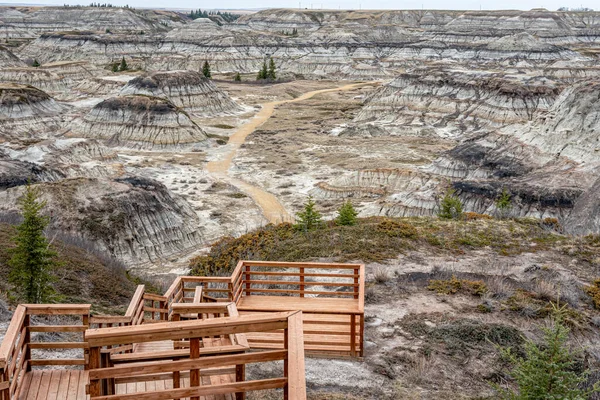 Lkbaharın Sonlarında Popüler Nalı Kanyonu Yazın Kanada Çorak Toprakları Drumheller — Stok fotoğraf