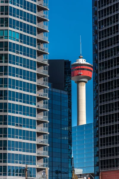 Pohled Panorama Calgary Moderními Budovami Calgary Tower — Stock fotografie