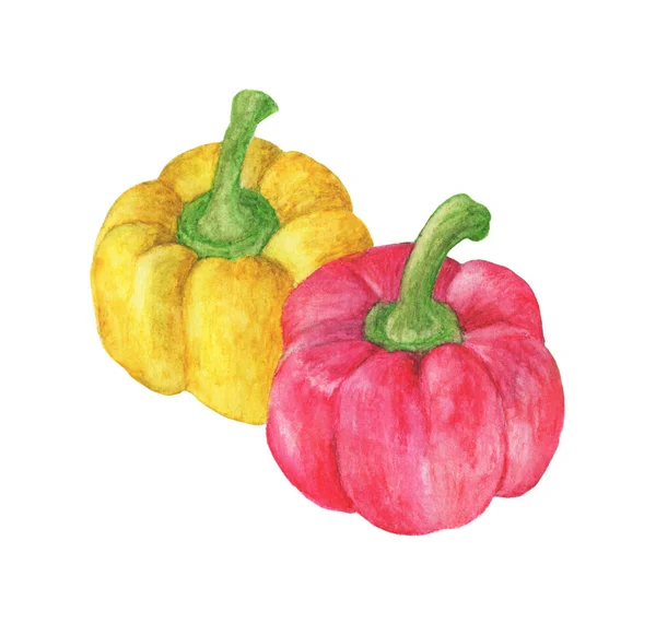 Čerstvá Zelenina Dvě Sladké Červené Žluté Papriky Izolované Bílém Pozadí — Stock fotografie