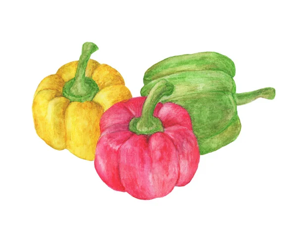 Verduras Frescas Tres Pimientos Rojos Amarillos Verdes Dulces Aislados Sobre — Foto de Stock