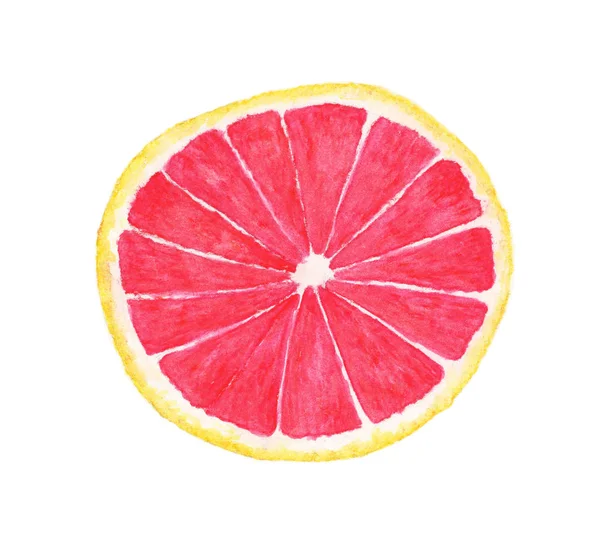 Krajíc Grapefruitu Akvarel Ilustrace Bílém Pozadí — Stock fotografie