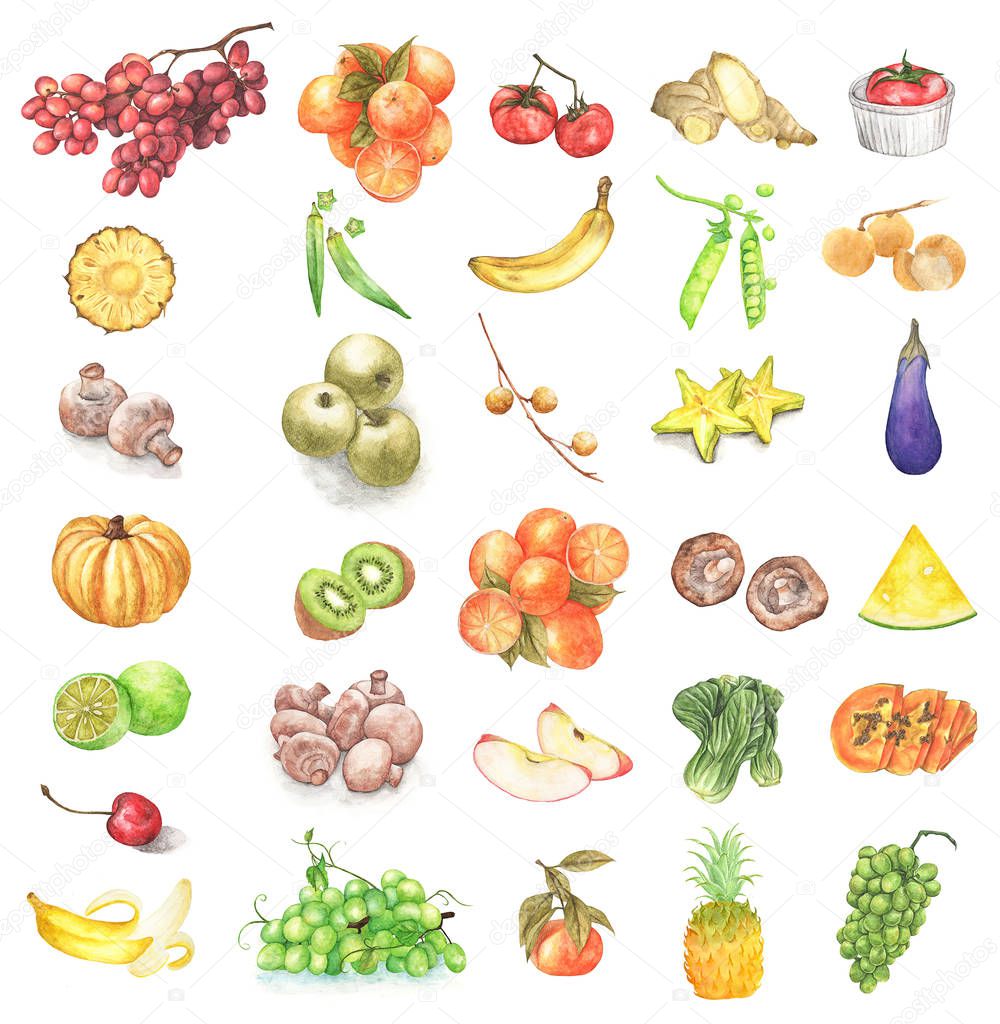 Watercolor painted collection of fresh fruits and vegetables.