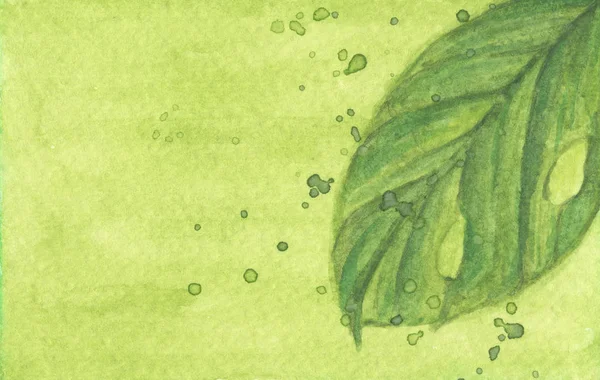 Akwarela malowana zielonym liściem i rozpryskująca woda na zielonym tle. — Zdjęcie stockowe