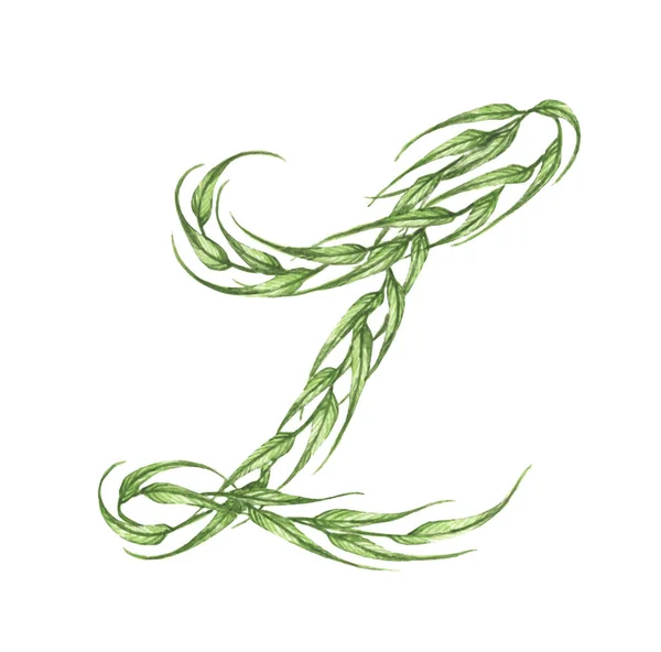 Літера Абетка Зеленого Листя Ізольовані Білому Тлі Екологічна Колекція Символів — стокове фото