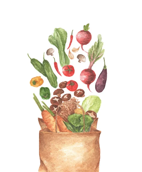 Sacchetto di carta pieno di verdure diverse. Illustrazione ad acquerello . — Foto Stock