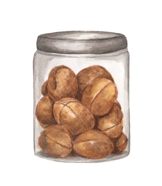 Hand Drawn Watercolor Painting Walnuts Packed Glass Jar Isolated White — 스톡 사진