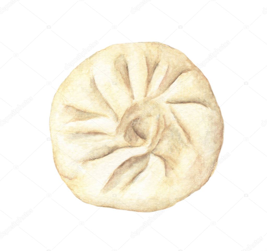 Top view of Steamed bun isolated on white background, watercolor illustration.