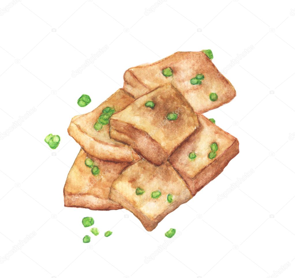 Fried tofu with onion on a white background, Watercolor Hand painted illustration