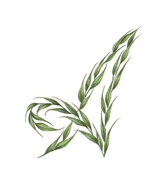 Buchstabe Alphabet Aus Grünen Blättern Isoliert Auf Weißem Hintergrund Öko — Stockfoto