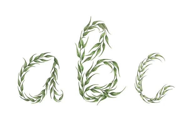 Alphabetsatz Alphabet Aus Grünen Blättern Mit Buchstaben Isoliert Auf Weißem — Stockfoto