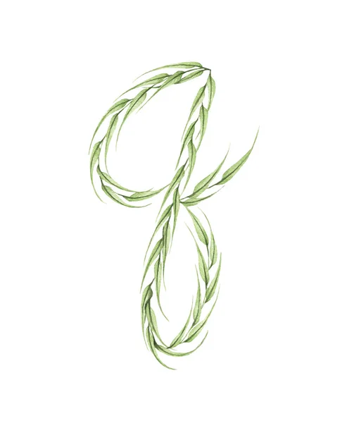 Буква Алфавит Зеленых Листьев Выделенных Белом Фоне Коллекция Экологических Символов — стоковое фото