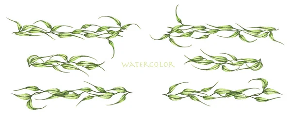 Zelené Listy Větve Čáry Ohraničení Vavříny Dělič Textu Obrázek Barvy — Stock fotografie
