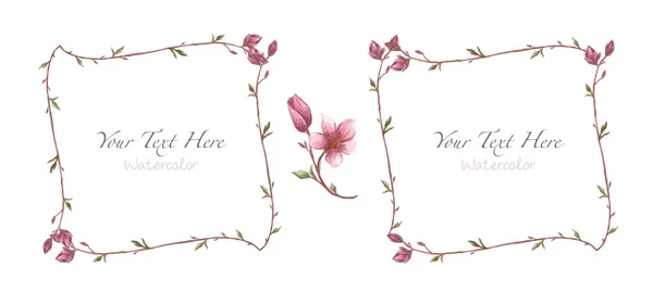 Floral Spring Magnolia Frame Set Isolated White Background Watercolor Floral — Stock Photo, Image