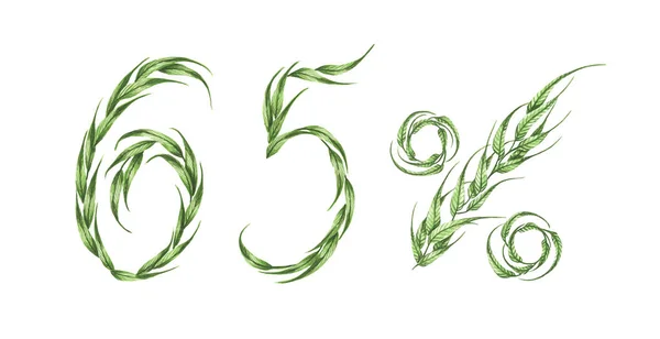 Texto Sessenta Cinco Por Cento Folhas Verdes Por Cento Verde — Fotografia de Stock