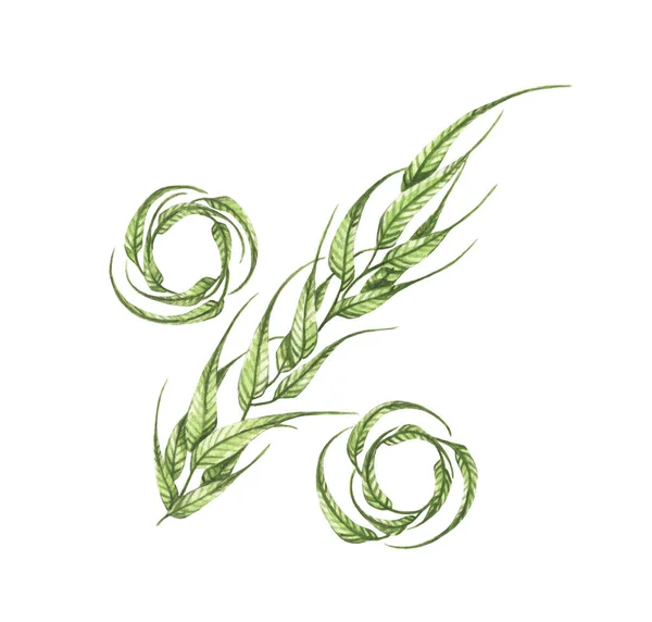 Znak Procent Zielonych Liści Zielony Procent Izolowany Białym Tle Ilustracja — Zdjęcie stockowe