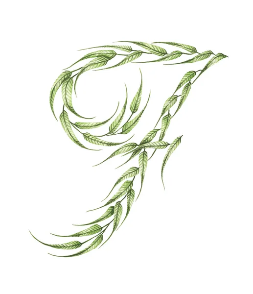文字F 緑の葉のアルファベットは白い背景に隔離されています エコシンボルコレクション 水彩画 — ストック写真
