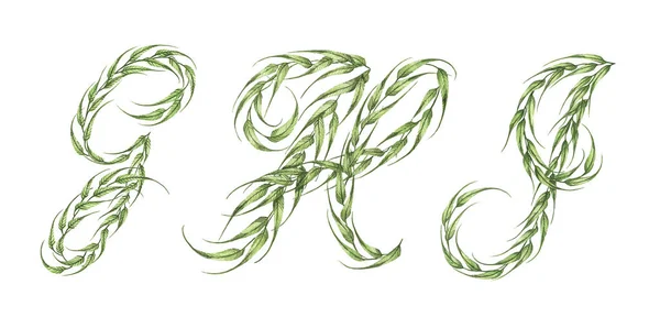Σετ Αλφαβήτου Αλφάβητο Από Πράσινα Φύλλα Γράμμα Απομονωμένο Λευκό Φόντο — Φωτογραφία Αρχείου