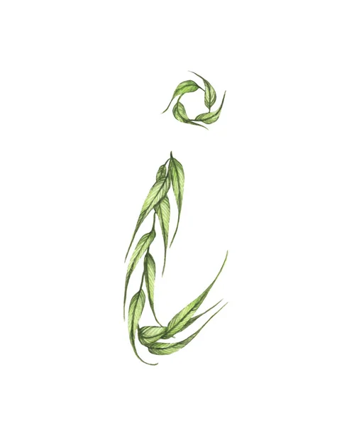 Letter Alphabet Green Leaves Isolated White Background Eco Symbol Collection — Stok fotoğraf