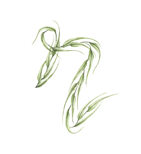 Buchstabe Alphabet Aus Grünen Blättern Isoliert Auf Weißem Hintergrund Sammlung — Stockfoto