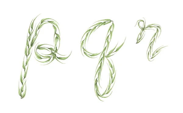 Σετ Αλφαβήτου Αλφάβητο Πράσινων Φύλλων Γράμματα Απομονωμένο Λευκό Φόντο Συλλογή — Φωτογραφία Αρχείου