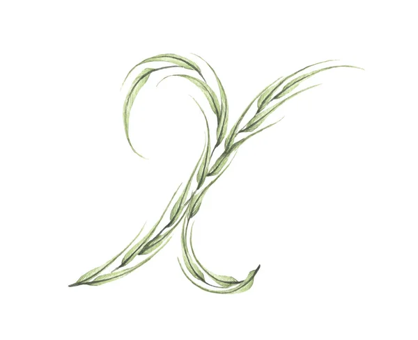 Γράμμα Αλφάβητο Πράσινων Φύλλων Που Απομονώνονται Λευκό Φόντο Συλλογή Οικολογικών — Φωτογραφία Αρχείου