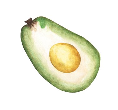 Half Avocado fruit isolated on white background, Watercolor illustration.