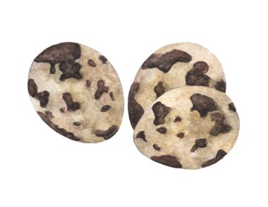 Group of quail eggs, isolated on white background, Hand drawn watercolor illustration.