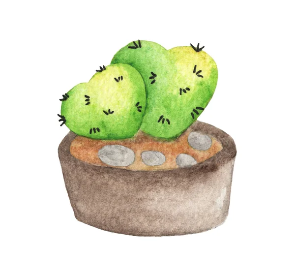 Zöld Szív Kaktusz Pot Elszigetelt Fehér Háttér Akvarell Illusztráció — Stock Fotó