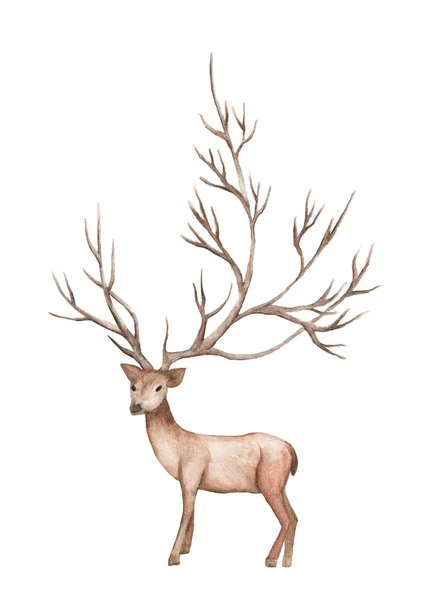 Watercolor Illustration Isolated Deer Big Antlers Mountain Tree Branch — Stockfoto