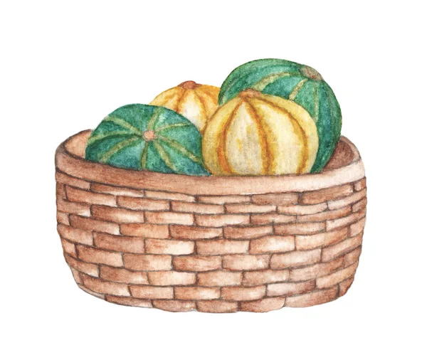 Watercolor Hand Painted Orange Green Pumpkins Basket Isolated White Background — 스톡 사진