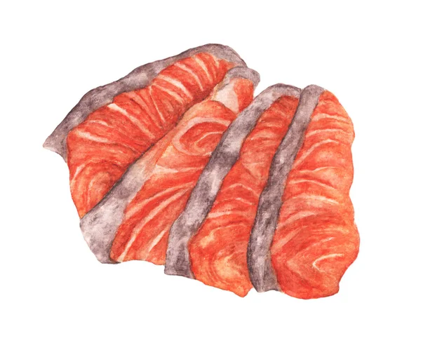 Suluboya el çizimi kırmızı balık filetosu, taze somon balığı sashimi. Beyaz arka planda izole edilmiş taze deniz ürünleri çizimi.