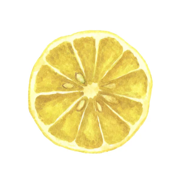 Slice Lemon Isolated White Background Watercolor Illustration — ストック写真