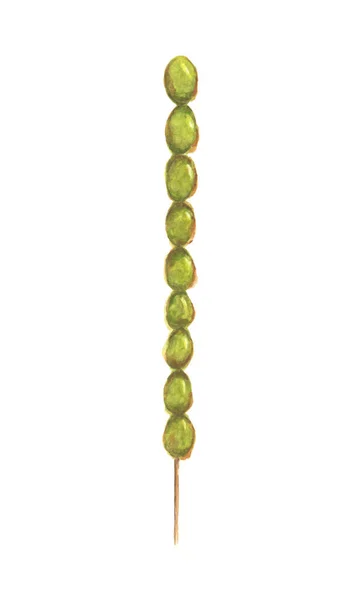 Uvas verdes em pau, BingTanghulu Crispy Sugar-Coated Fruit. Ilustração aquarela . — Fotografia de Stock