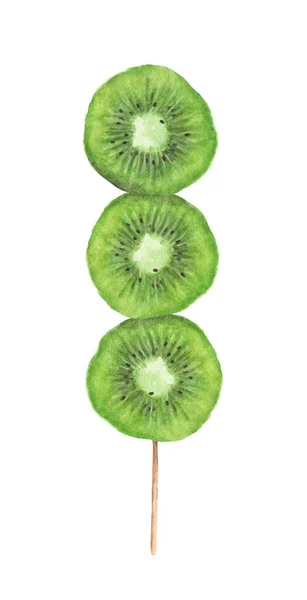 Slices Kiwi Wooden Stick Isolated White Background Watercolor Illustration — Stok fotoğraf